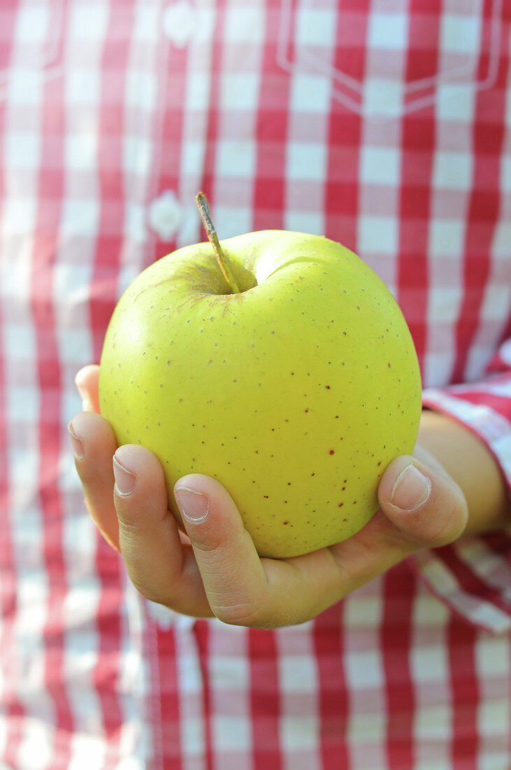 Child holding an apple