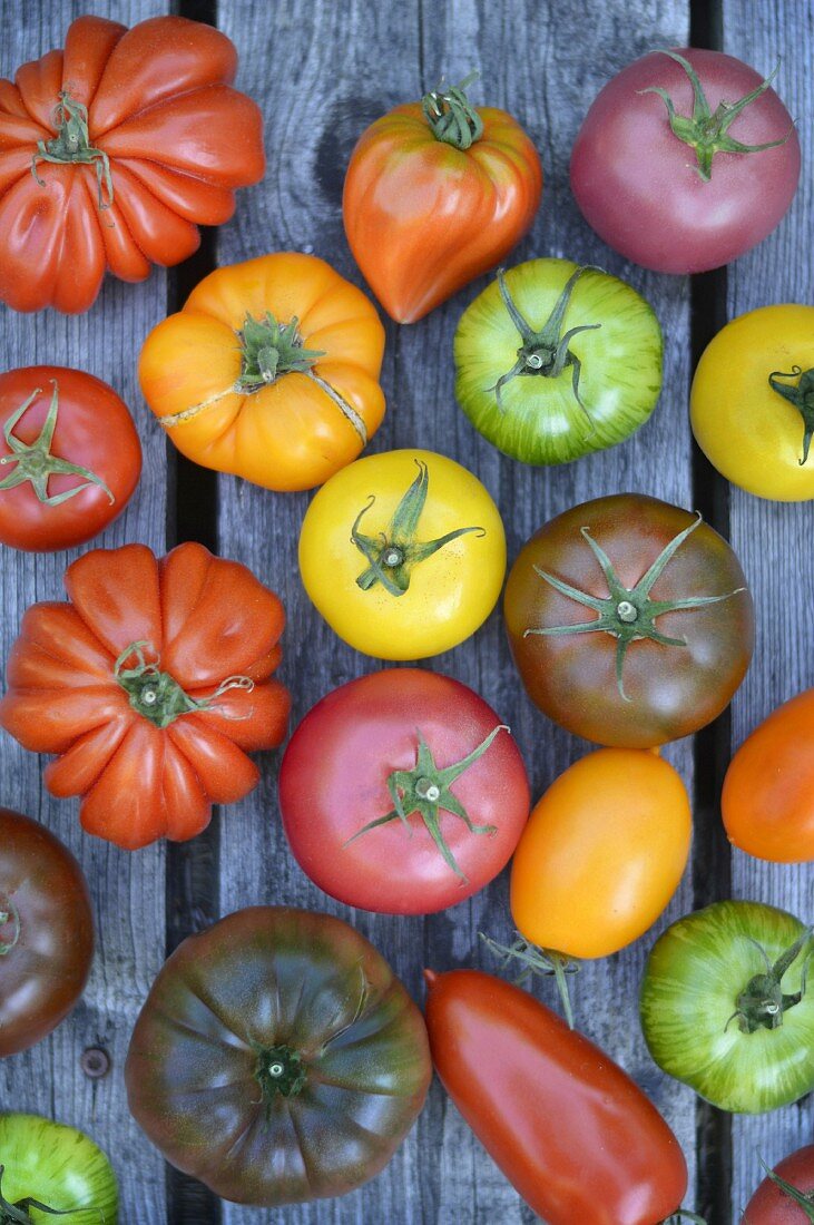 Verschiedene bunte Tomaten (Aufsicht)