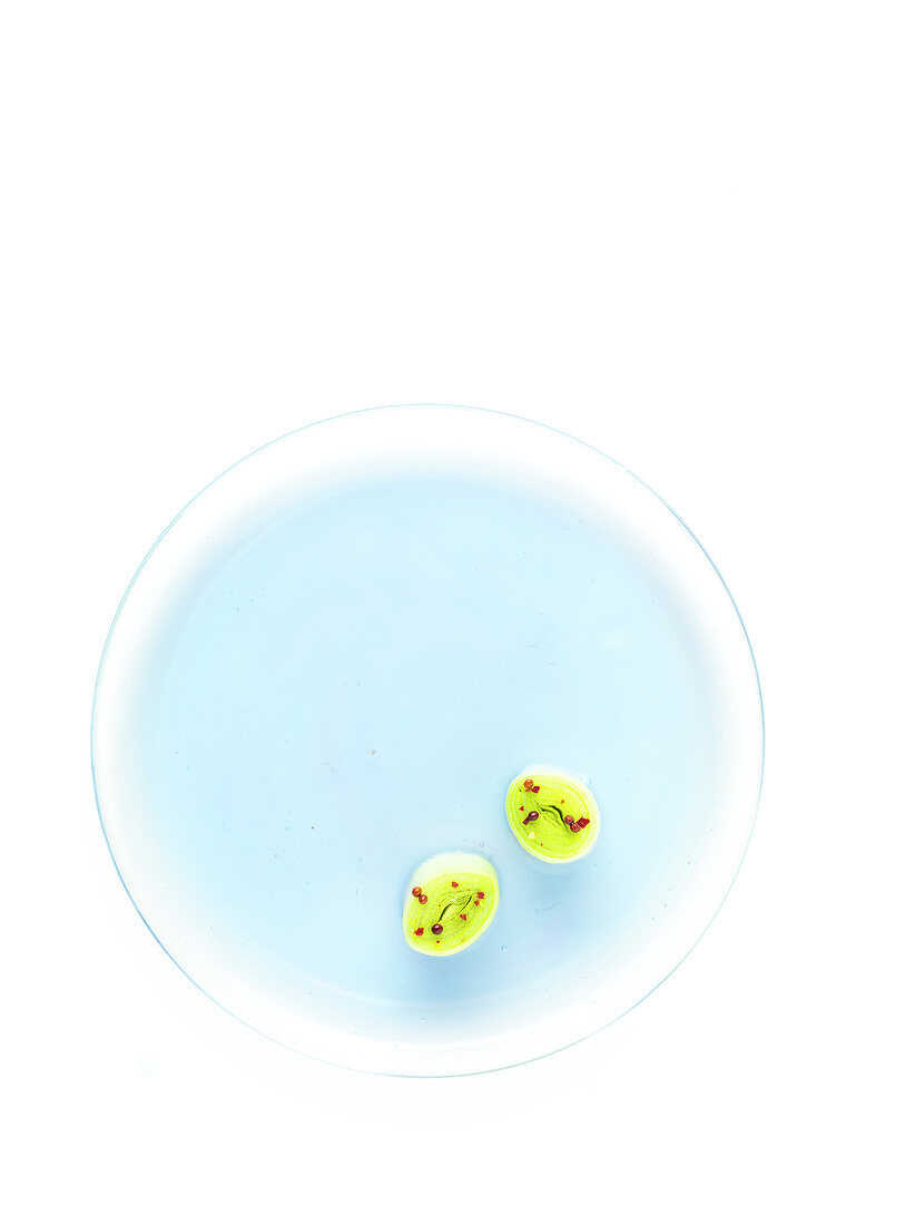 Lauchstückchen mit Gewürzen auf blauem Kreis