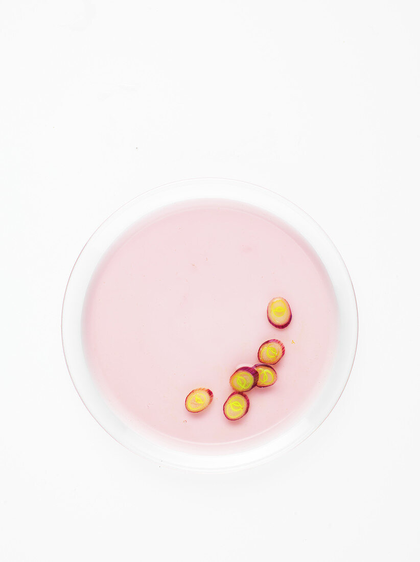 Schalottenringe auf rosa aromatisiertem Gelee