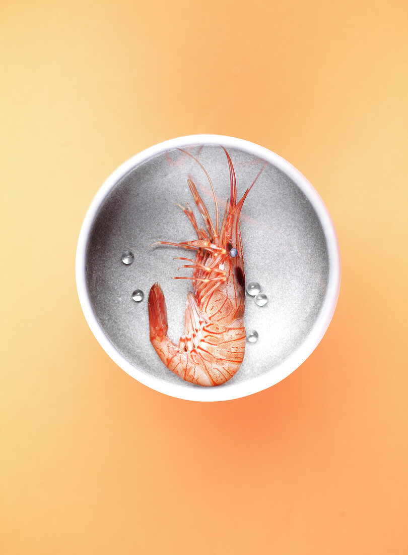 Shrimp and savory pearls in a bowl
