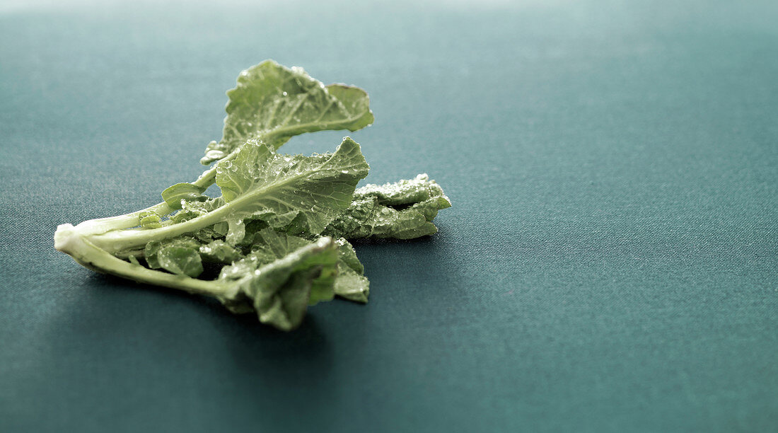 Kale cabbage leaf