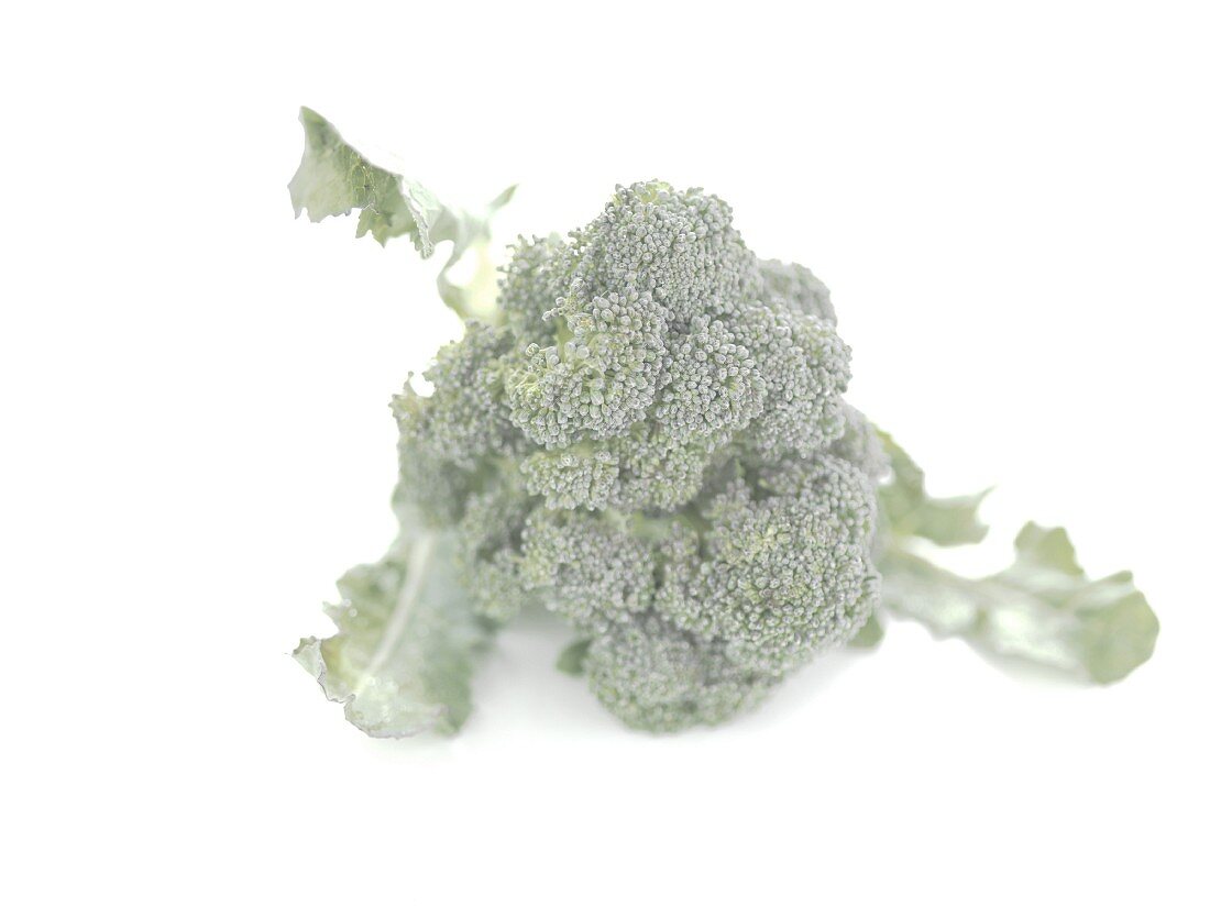 Brokkoli vor weißem Hintergrund