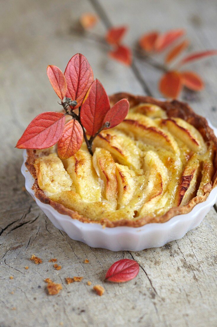 Rennet apple and star anise individual pie