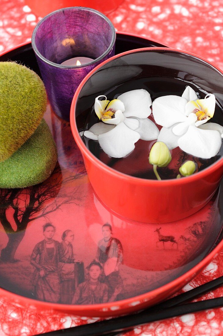 Japanese atmosphere with orchids in water