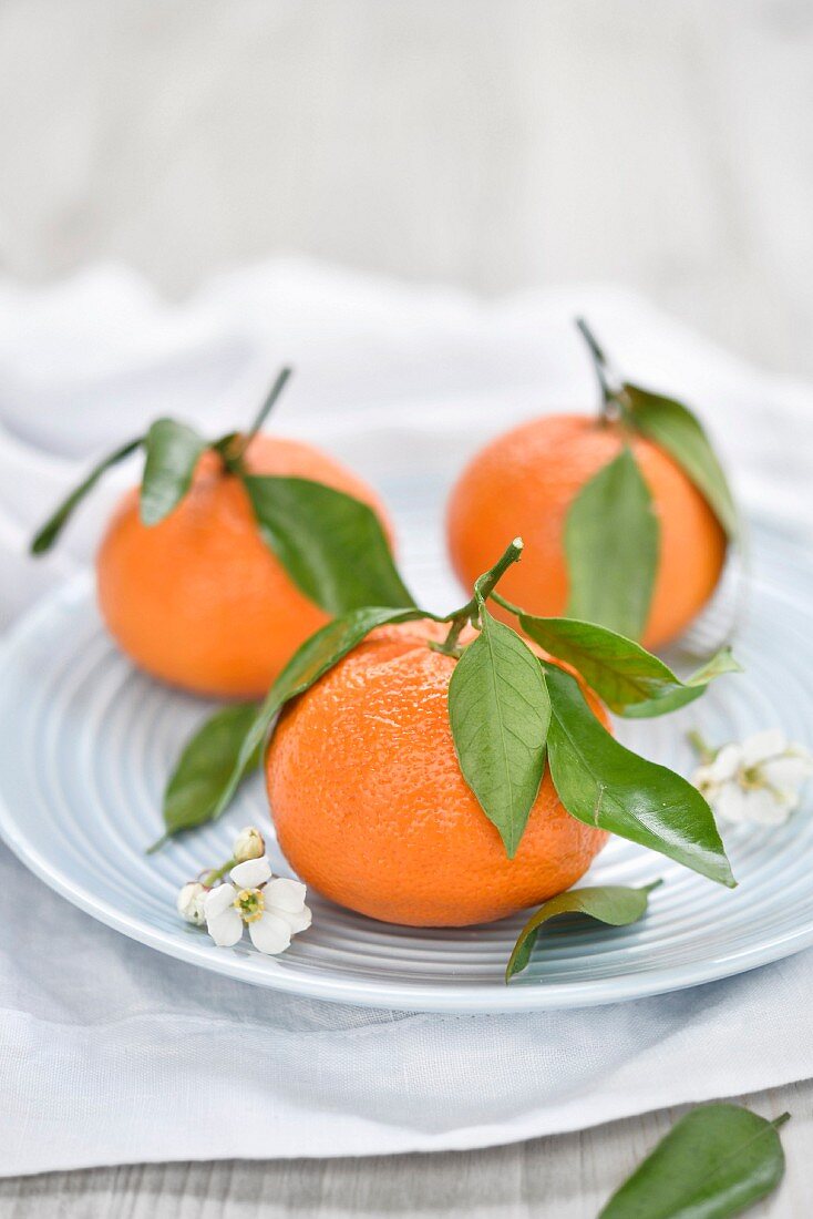 Clementines