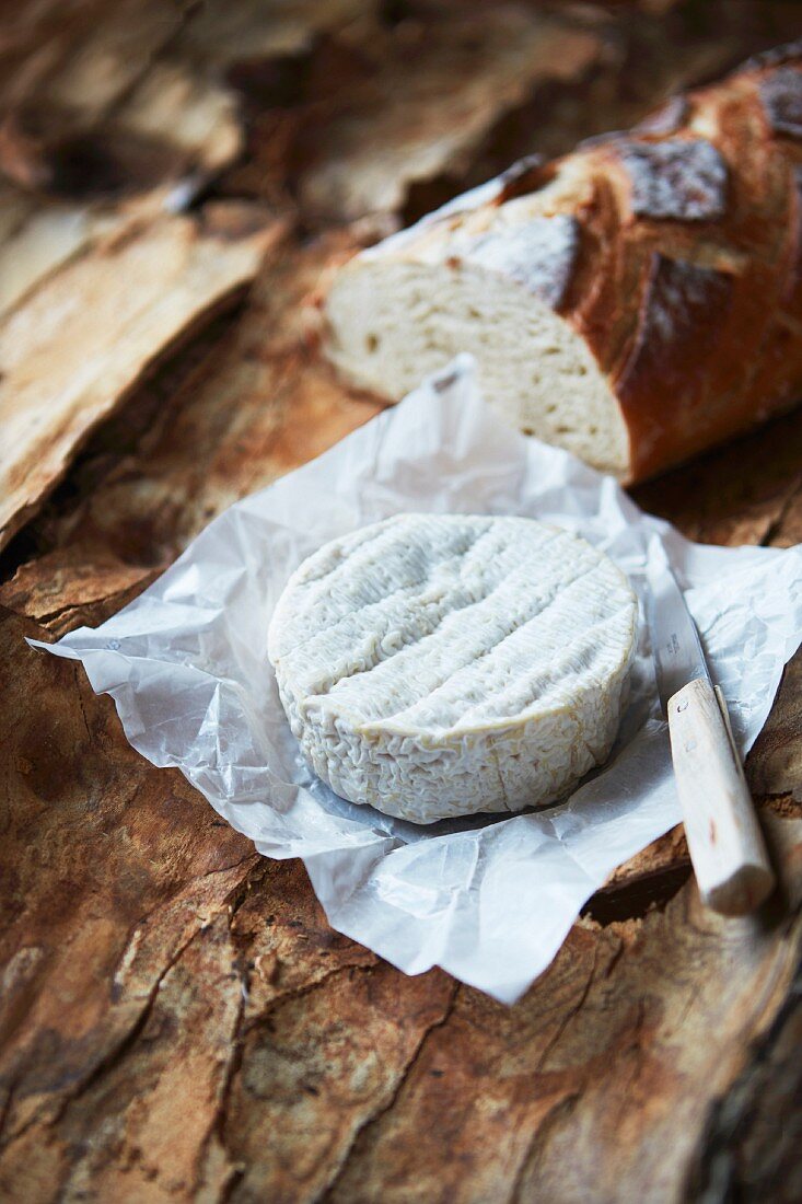 Camember auf Einwickelpapier, Messer und Weißbrot