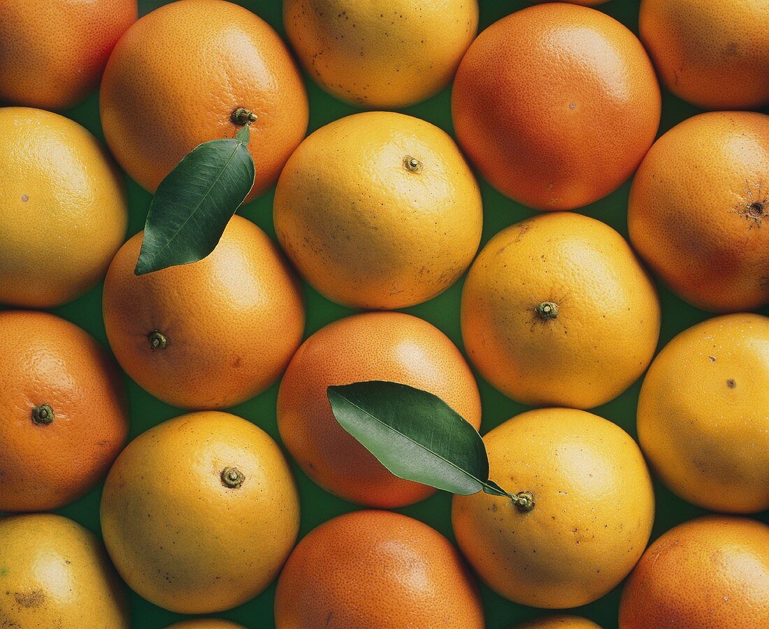 Gelbe und rosa Grapefruits (bildfüllend)