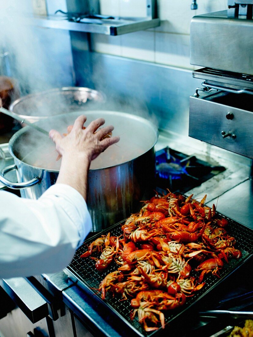 Koch in einer Restaurantküche gibt lebende Flusskrebse ins kochende Wasser