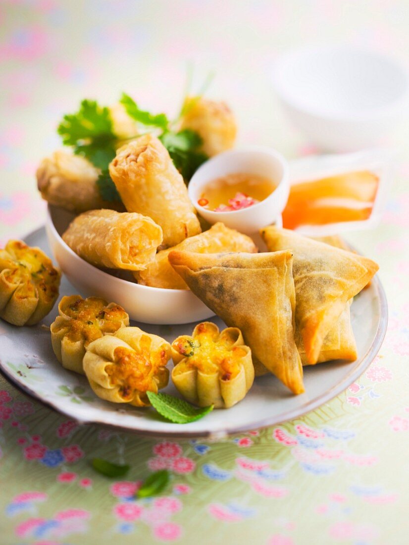 Assortment of Asian fried appetizers