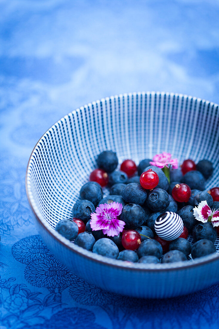 Bowl of blueberries and redcurrants