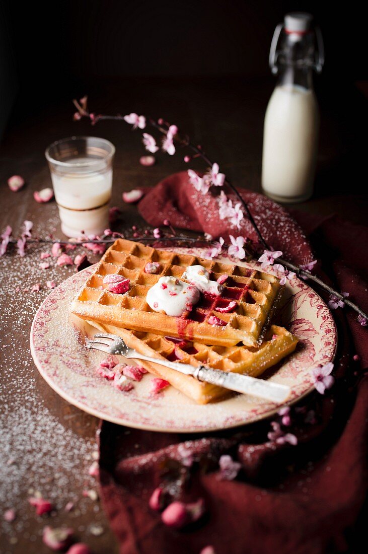 Pile of plain Brussels waffles with red berry coulis, cream and pink pralines and icing sugar