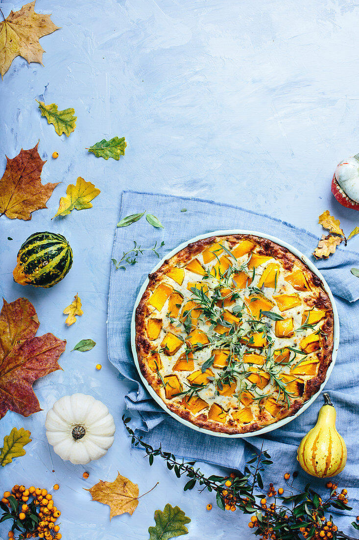 Herbstlicher piknater Kürbiskuchen mit Frischkäse und Kräutern