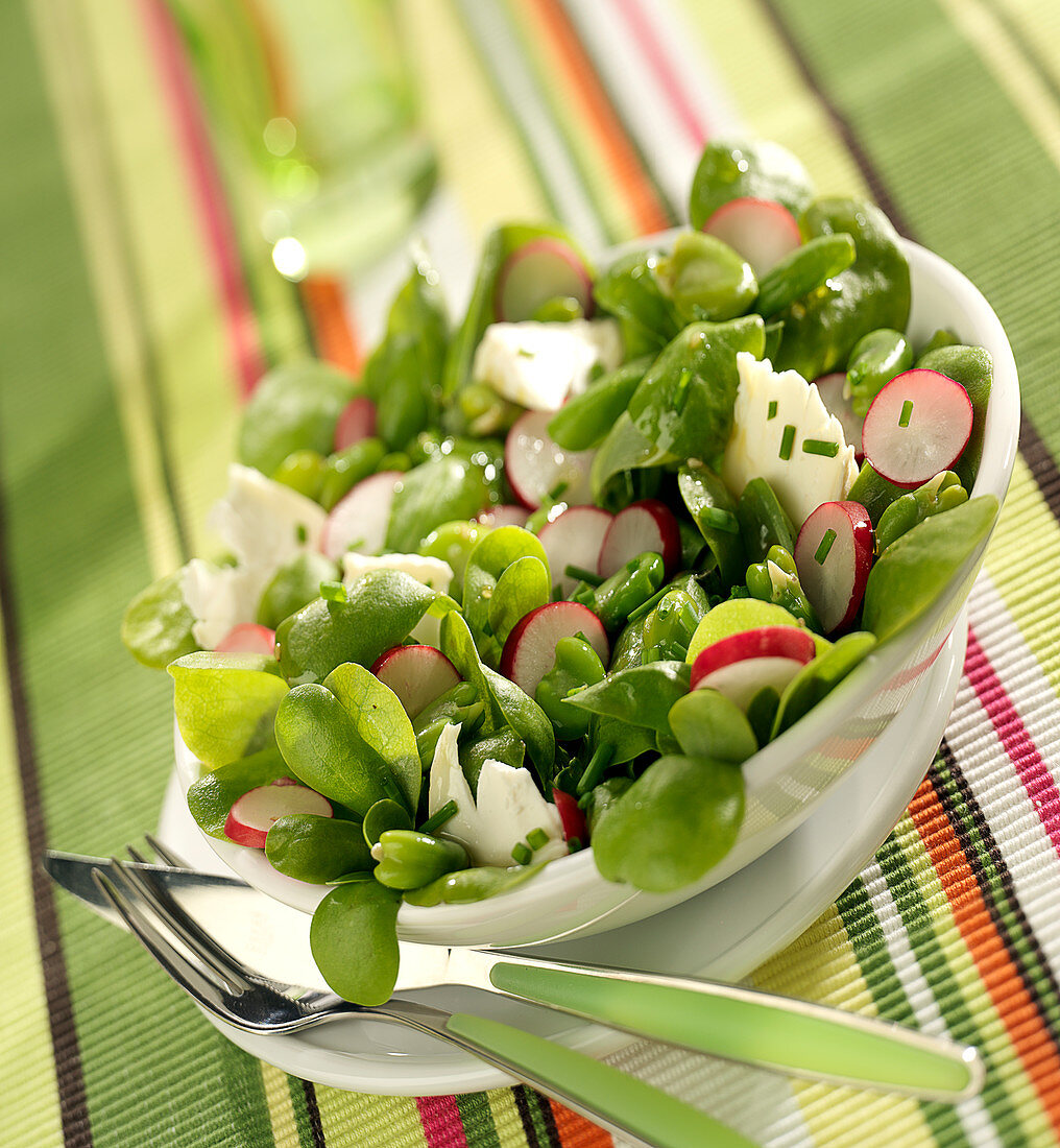 Salat mit Portulak, Saubohnen, Radieschen und Ziegenkäse