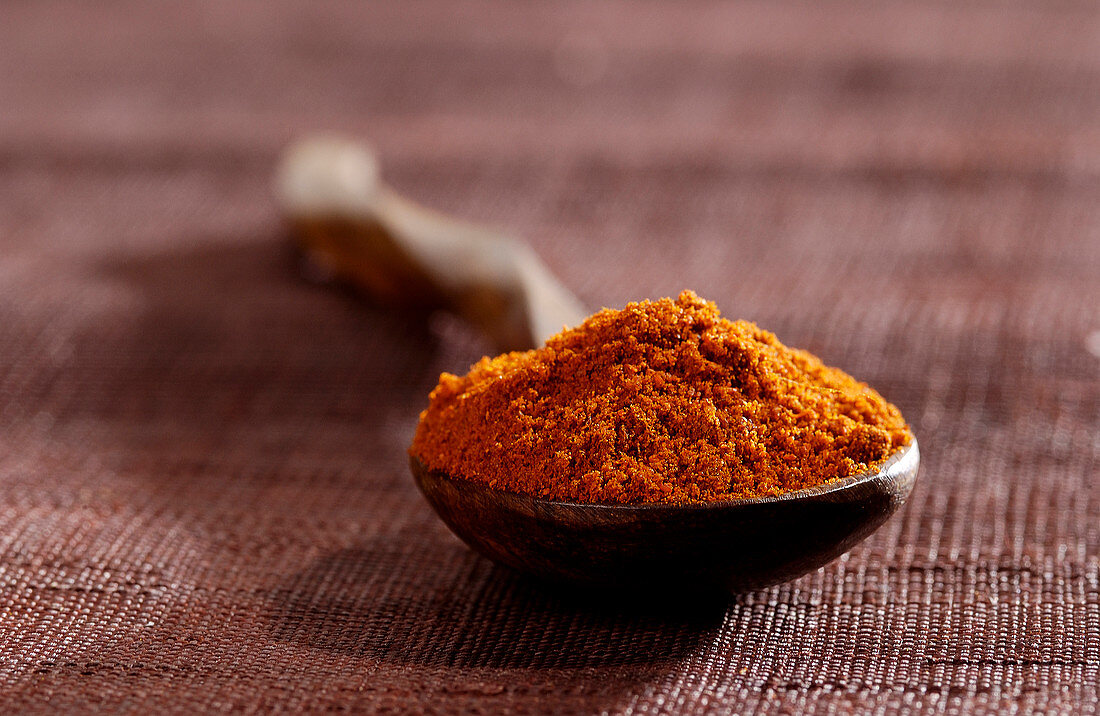 Spoonful of paprika