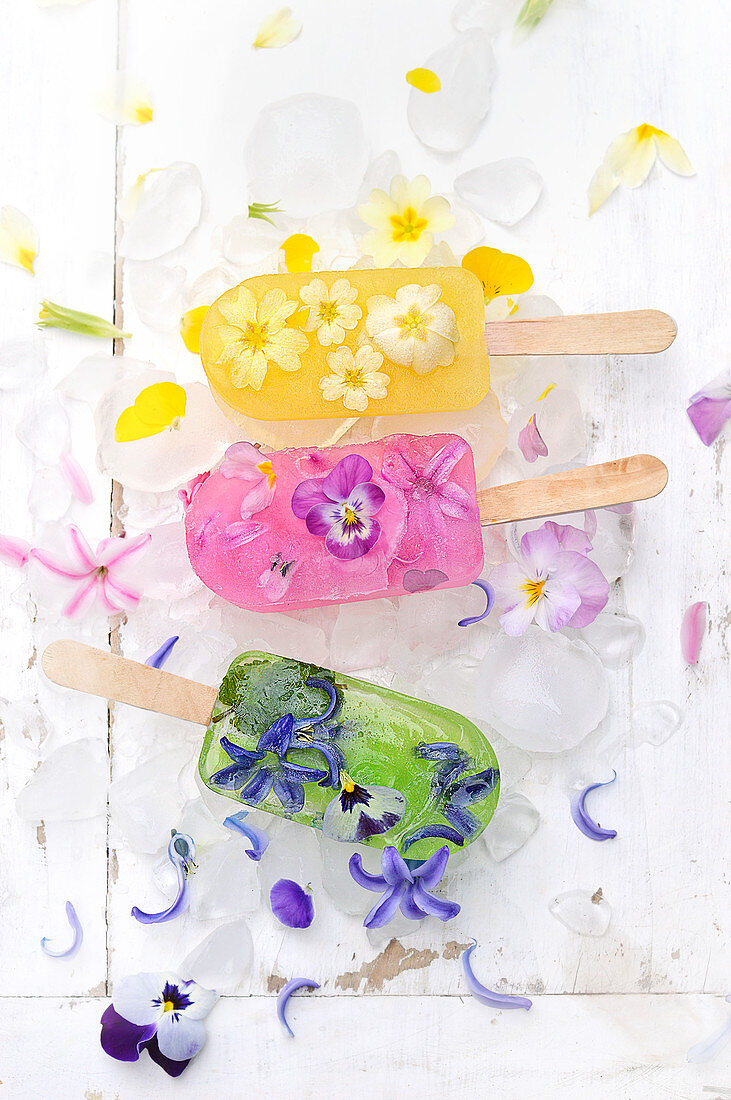 Flower Ice Pops :Orange Juice-Primrose,Pomegranate-Hyacinth-Pansy,Mint-Hyacinth