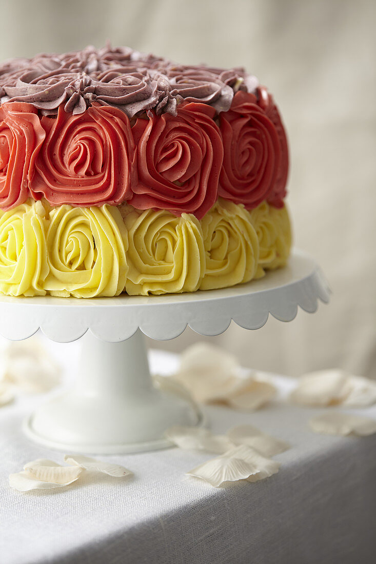 Three-colored Paradise cake