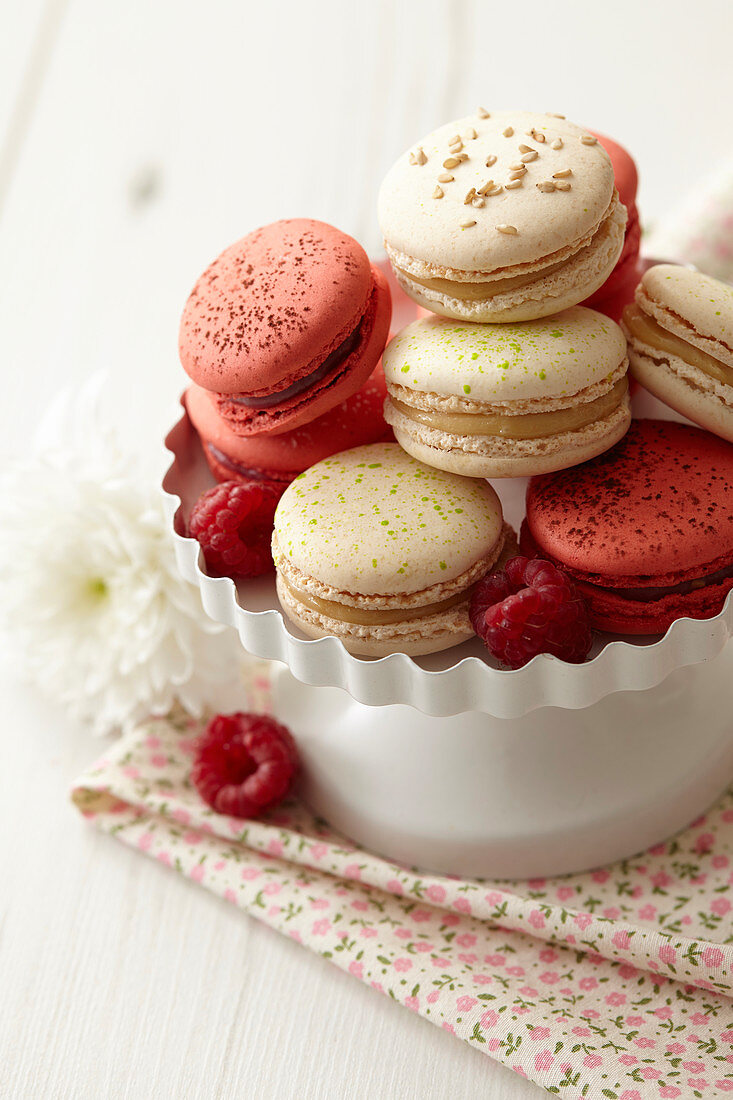 Macarons Mandel-Karamell, Himbeer-Schwarze Johannisbeere, Zitrone-Limette