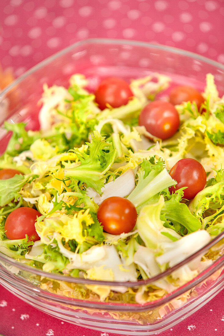 Curly endive and cherry tomato salad bowl