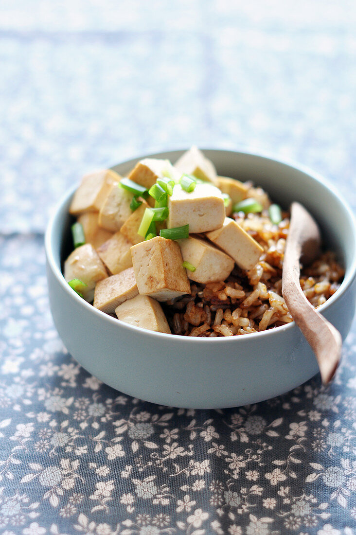 Gebratener Vollkornreis mit Tofu und Lauchzwiebel