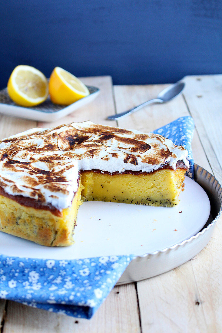 Zitronen-Mohn-Kuchen mit weißer Schokolade