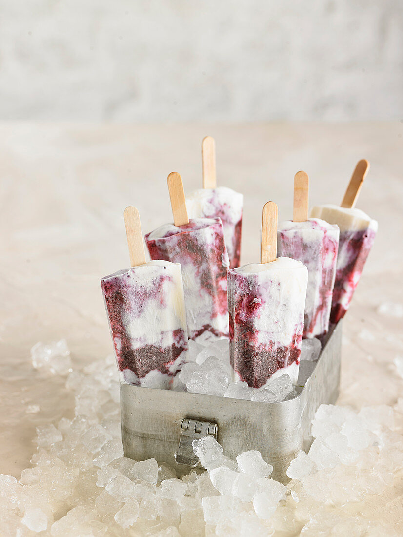 White Chocolate-Blueberry Ice Cream Bars