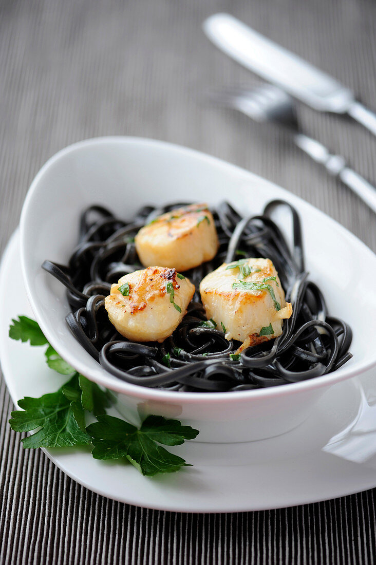 Gebratene Jakobsmuscheln mit glatter Petersilie auf Tintenfischlinguine