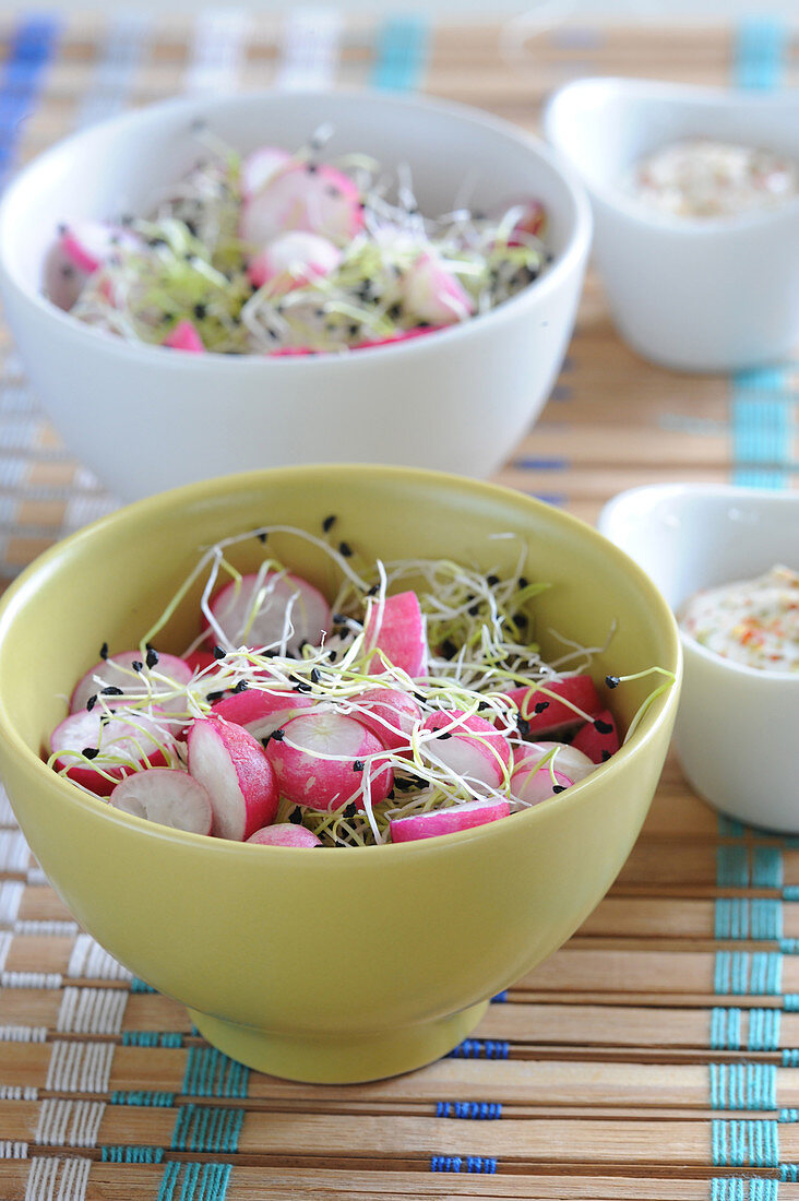 Salat mit Radieschen und Keimlingen