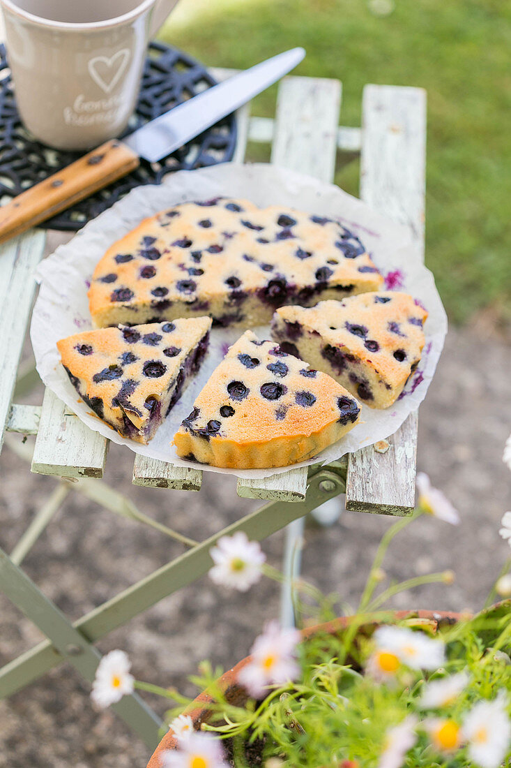 Large blueberry Financier cake on a folding chair outdoors