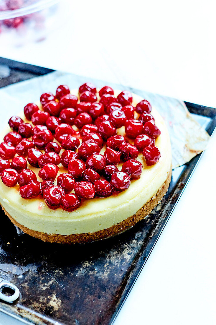 Griotte Cherry Cheesecake