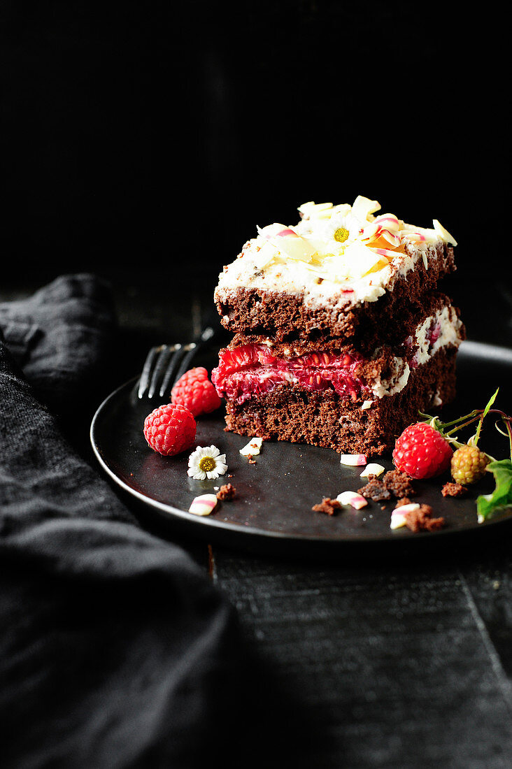 Schokoladen-Himbeer-Kuchen