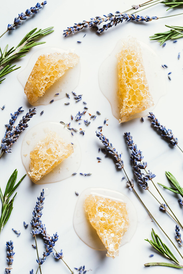 Honeycomb, lavender and rosemary on a white background