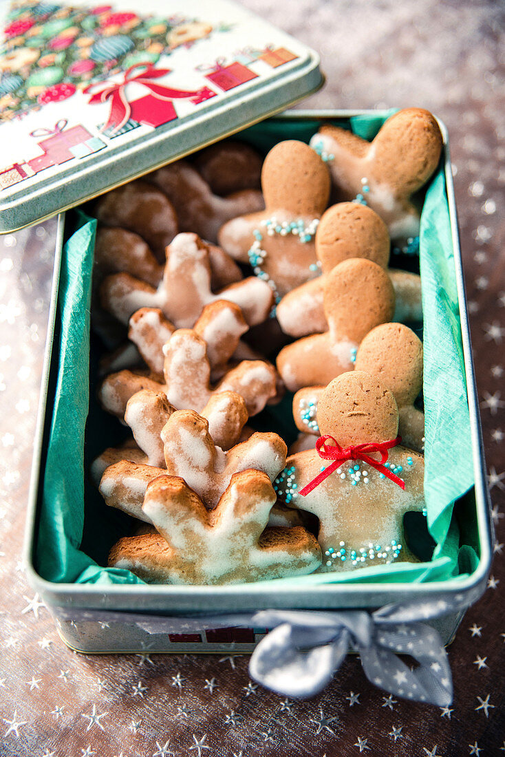 Christmas gingerbread cookies in metallic box