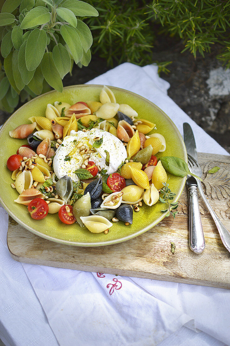 Conchiglie mit Burrata, gerösteten Pinienkernen und frischen Kräutern