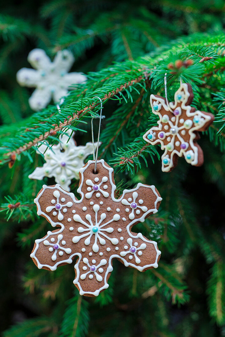 Gingerbread snowflake cookies hanging on a Christmas tree