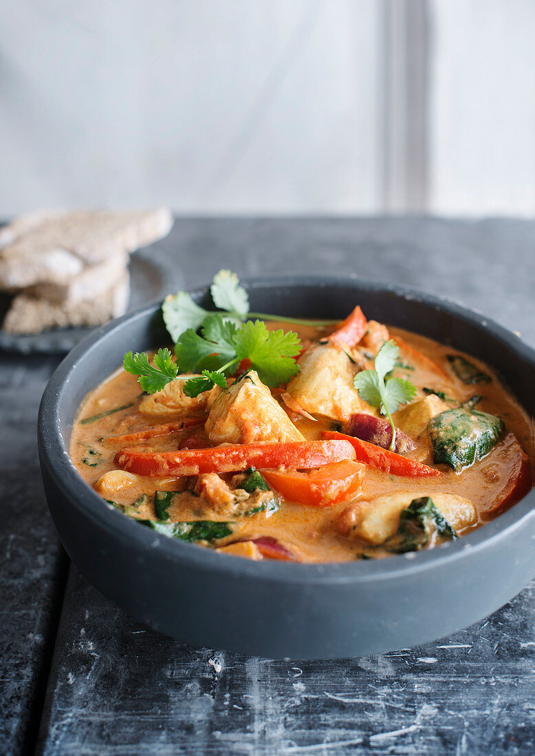 Chicken masala with vegetables (India)