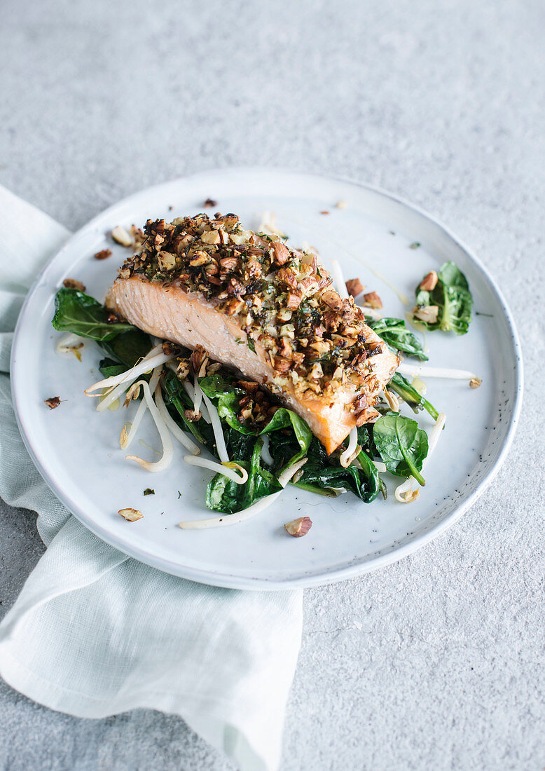 Salmon with hazelnut crust on spinach and bean sprouts