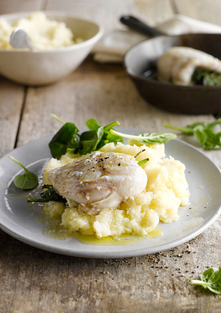 White fish on celery puree with olive oil