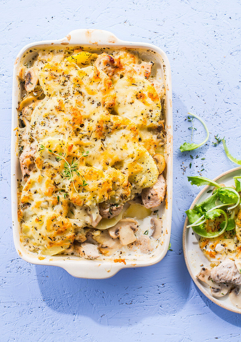 Kartoffelgratin mit Putenfleisch und Champignons