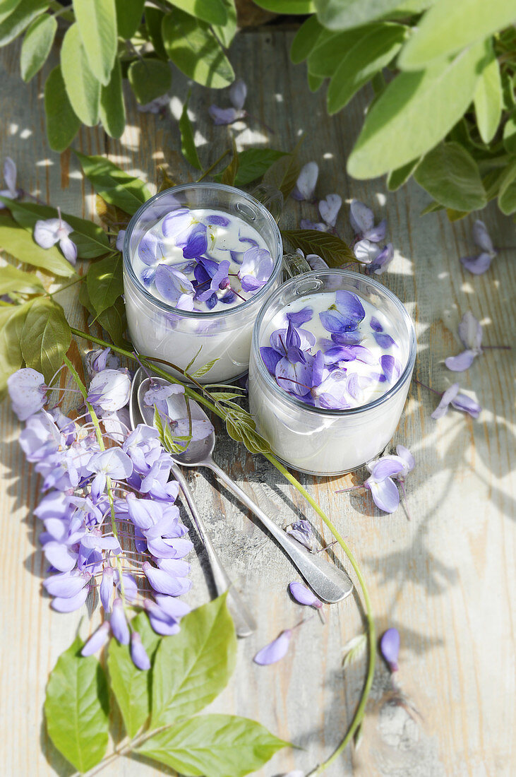 Panna cotta with wisteria flowers