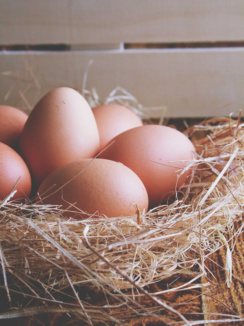 Brown chicken eggs in hay