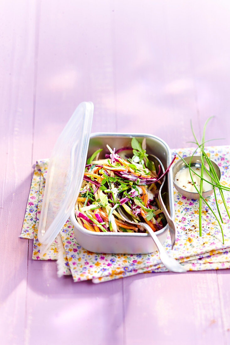 Summer vegetable salad with courgettes, carrots, cabbage and apple in a takeaway box