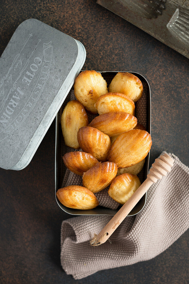 Honey Madeleines in a biscuit tin