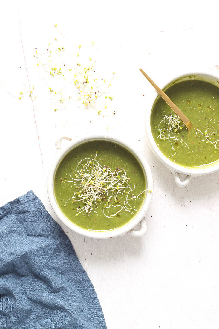 Green vegetable soup with sprouts