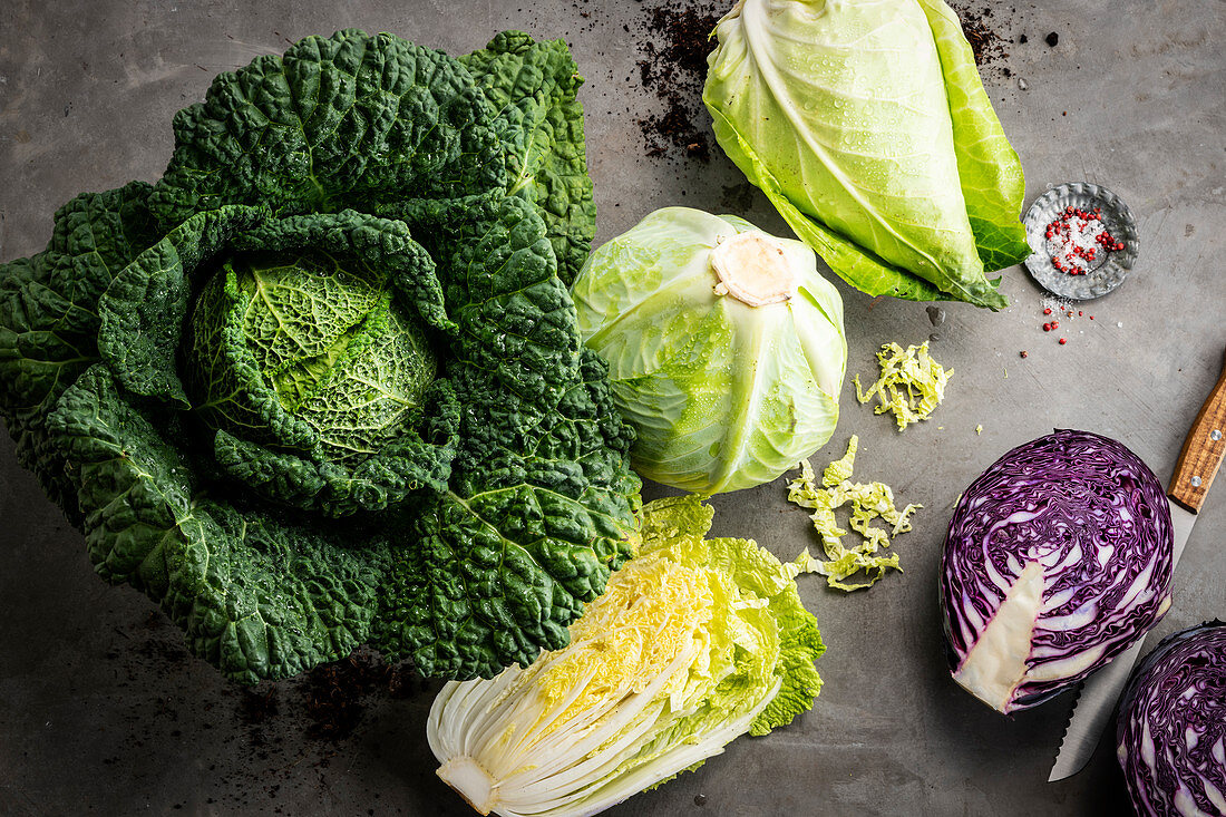 Still life with different types of cabbage