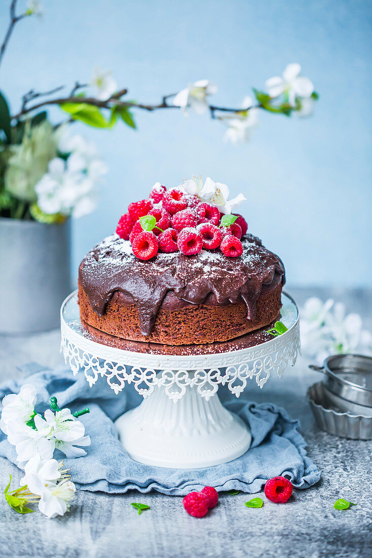 Egg free chocolate cake with coconut, garnished with raspberries