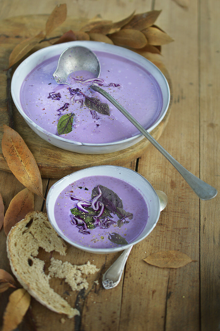 Red cabbage soup