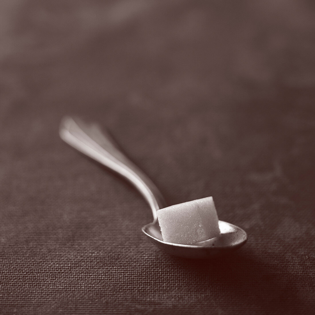 One sugar cube on a coffee spoon