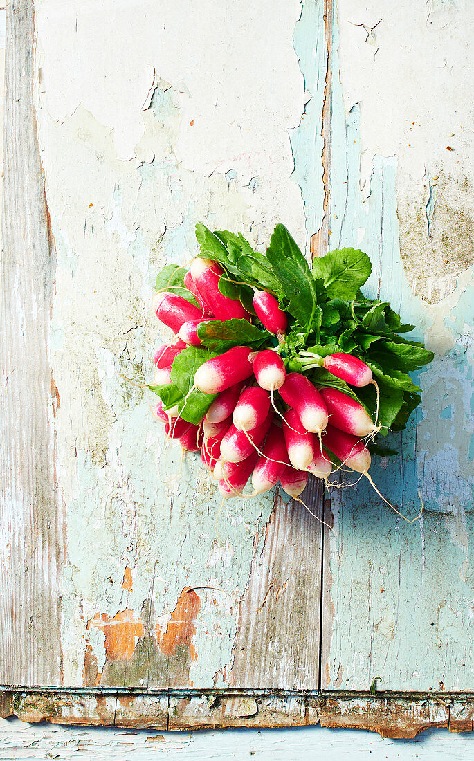 A bunch of radishes