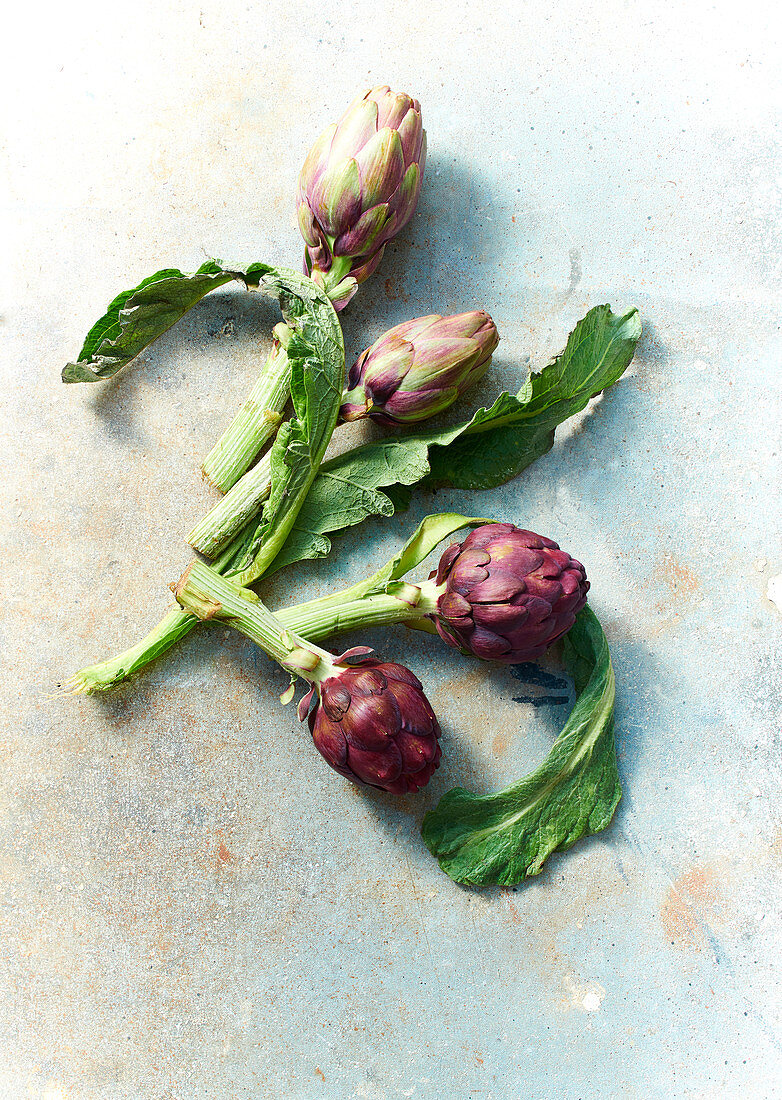 Fresh artichokes